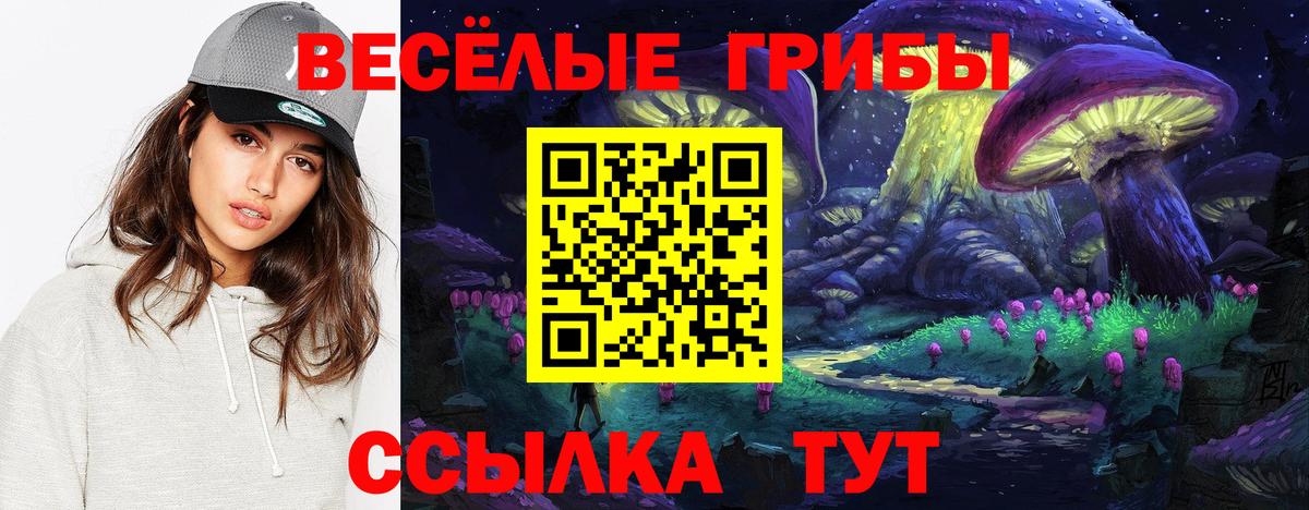 Галлюциногенные грибы прущие грибы Димитровград