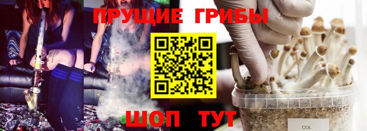 Димитровград  Псилоцибиновые грибы Psilocybe  магазин  наркотиков  Галлюциногенные грибы прущие грибы  Вход с VPN 